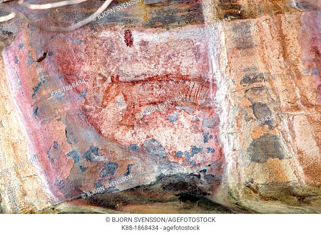 Aboriginal rock art depicting a Thylacine Tasmanian Tiger, extinct on the mainland for some 2000 years  Ubirr rock art site in Kakadu National Park