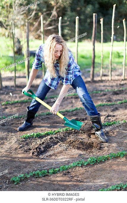 Woman shoveling dirt in garden