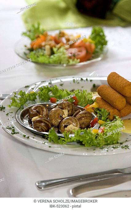 Escargots in herbed butter with croquettes