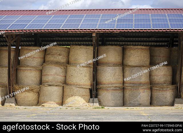 27 July 2022, Brandenburg, Falkenberg: A warehouse full of straw bales stands on Gut Kölsa. The cattle farmer narrowly escaped a disaster on Monday