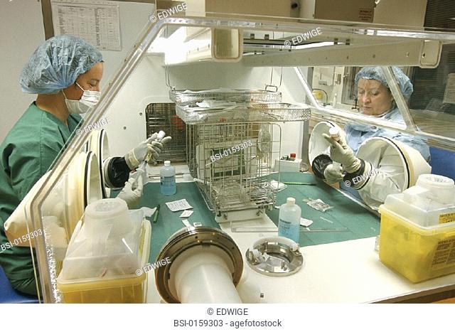PHARMACEUTICAL INDUSTRY, LABO<BR>Photo essay from hospital.<BR>Georges Pompidou European Hospital in Paris, France. Medicine production in sterile room