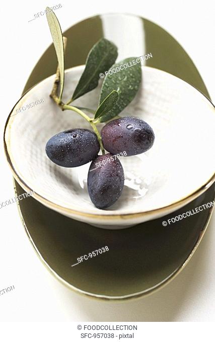 Olive sprig with black olives in white bowl