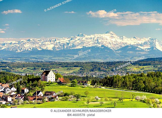 View of Freudental Castle, behind mountain range with Alpstein and Säntis, Allensbach, Lake Constance region, Baden-Württemberg, Germany