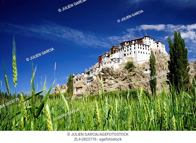 India, Jammu and Kashmir State, Himalaya, Ladakh, Indus valley, Buddhist monastery of Spituk and green barley fields