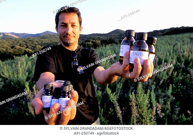 Paul Caux, grower of aromatic and medicinal plants. Ocana. South Corsica. Corsica Island. France