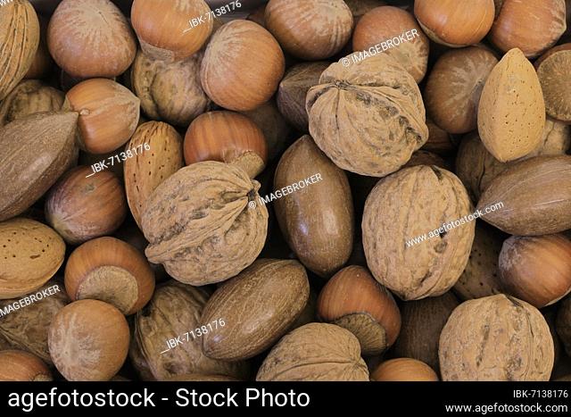 Nuts, mix, Almond tree (Prunus dulcis), Common hazel (Corylus avellana), Persian walnut (Juglans regia), Pecans (Carya illinoinensis), fruit, nuts, in shell