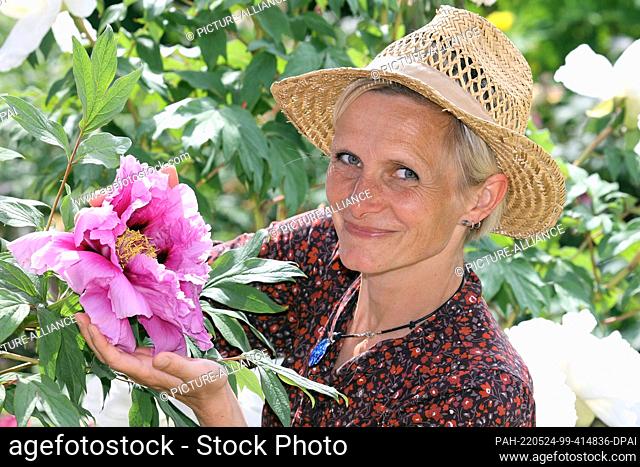 19 May 2022, Saxony-Anhalt, Wernigerode: Kati Müller from Bürgerpark Wernigerode holds a flower of the peony P. Suffruticosa from Japan
