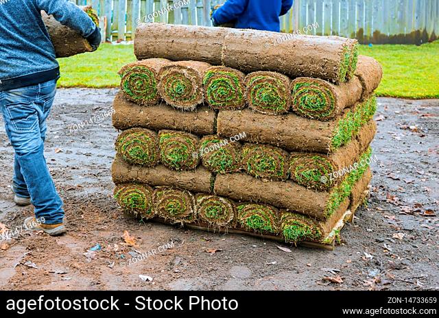 New lawn gardening rolls of fresh grass turf ready to be used