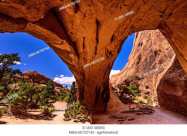 The USA, Utah, Grand county, Moab, Arches National Park, Devils Garden, Navajo Arch