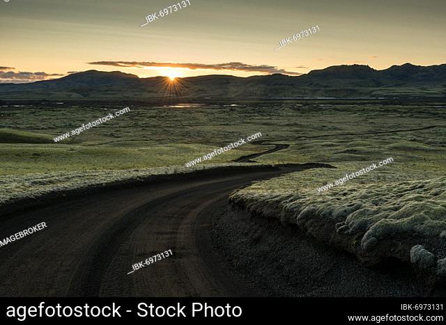 Backlight, sunset, dirt road leads through moss-covered volcanic landscape, Laki Crater or Lakagígar, Highlands, South Iceland, Suðurland, Iceland, Europe