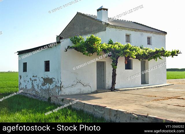 Valencian farmhouse with rice fields in the background