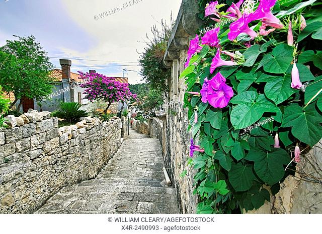 Typical back street in the town of Cavtat, near Dubrovnik, Croatia
