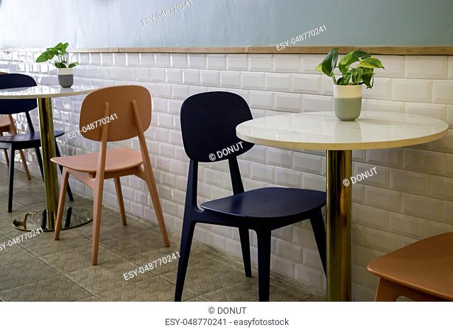 Indoor plant on coffee shop table, stock photo