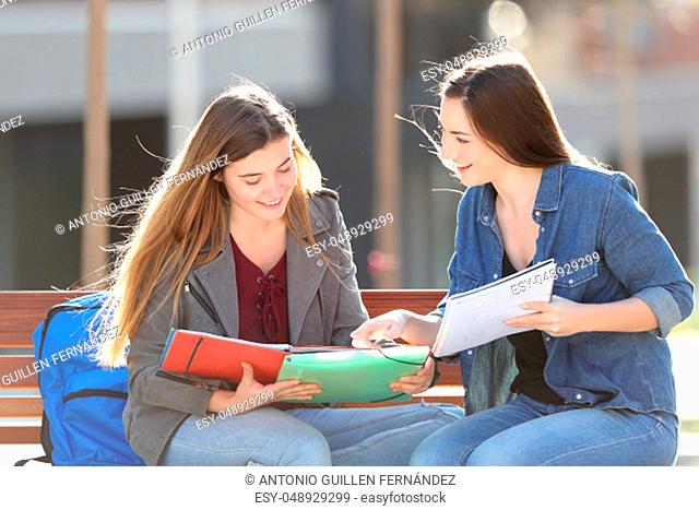 Two students learning comparing notes sitting on a bench in a park