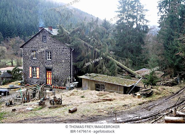 Old house in the Nettetal valley which was hit by a falling tree during the passage of storm Xynthia, Mayen, Rhineland-Palatinate, Germany, Europe