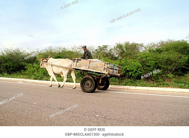 Ox Wagon, BR 101, Rio Grande do Norte, Brazil