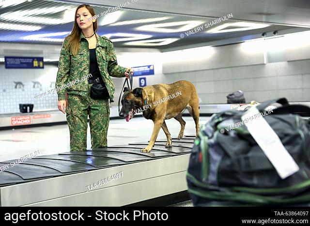 RUSSIA, MOSCOW - OCTOBER 25, 2023: A K9 officer and a service dog patrol Vnukovo International Airport. Valery Sharifulin/TASS