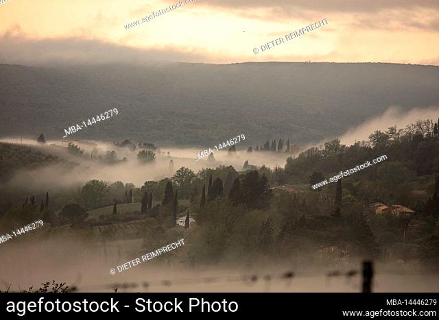 Tuscany, morning, fog