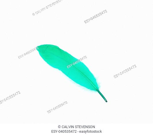 Green feather