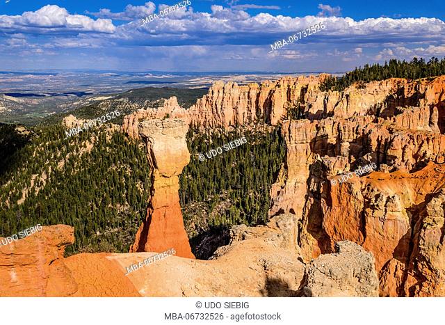 The USA, Utah, Garfield County, Bryce Canyon National Park, Agua canyon