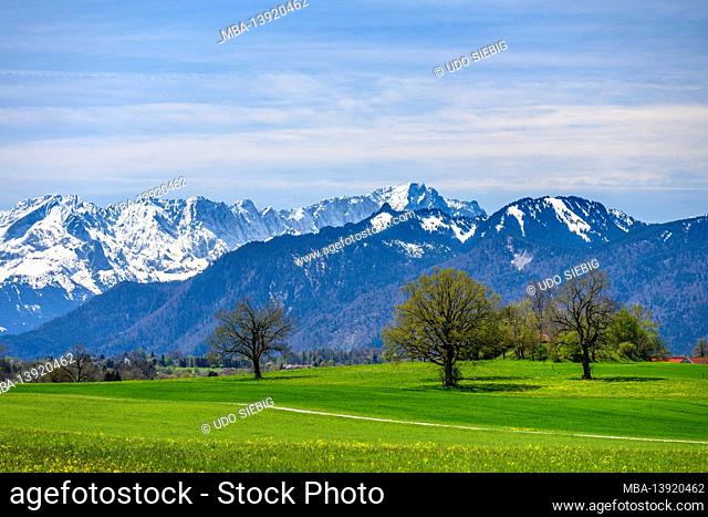 Germany, Bavaria, Upper Bavaria, Pfaffenwinkel, Obersöchering, district Abertshausen, spring landscape against the Zugspitze massif