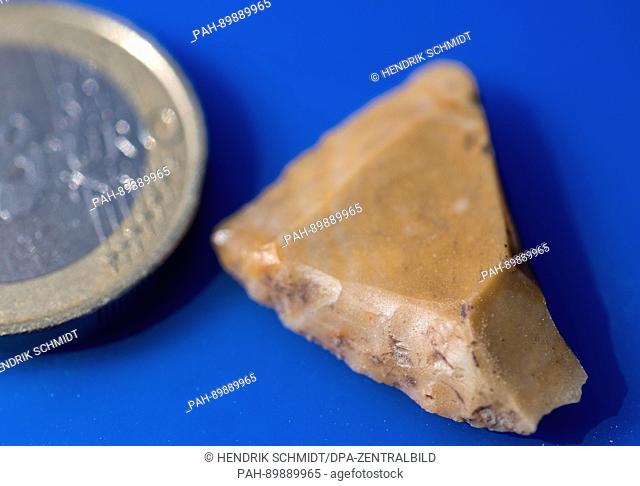 A 7000 years old flint shard can be seen next to a Euro coin in Bilzingsleben, Germany, 31 March 2017. The world famous finding place of the oldest European...