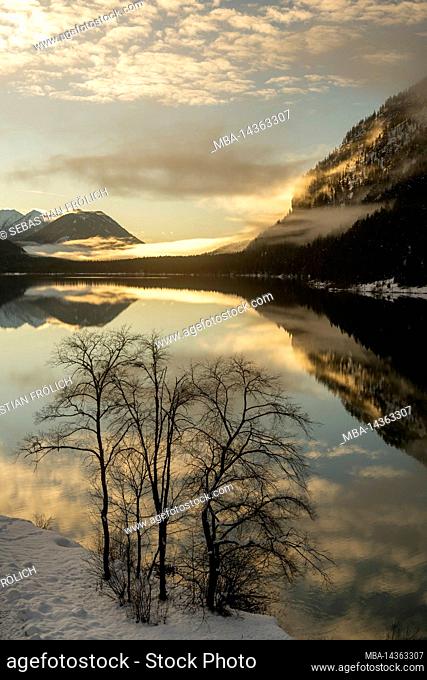 Bare trees on the shore of the Sylvensteinspeichersee in the Karwendel near the village Fall at the bridge in winter with snow