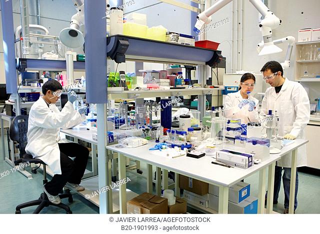 Synthesis Laboratory, CIC nanoGUNE, Nano science Cooperative Research Center, Donostia, San Sebastian, Gipuzkoa, Basque Country, Spain