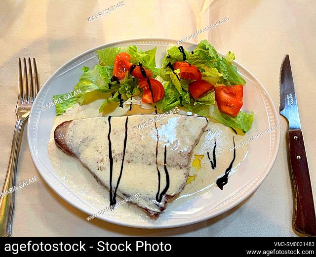 Tuna loin with cream and salad. Spain