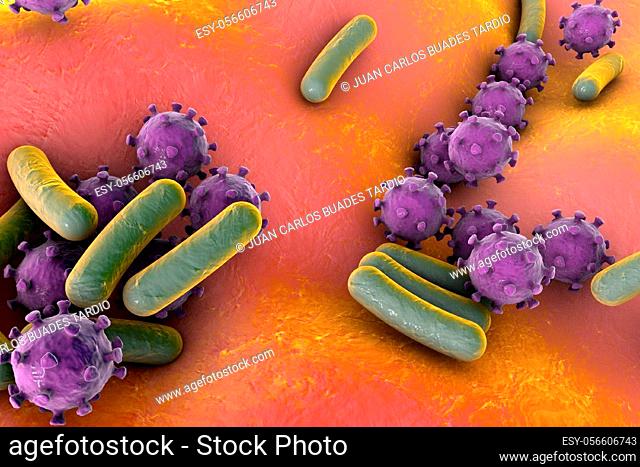 Bacteria and viruses on surface of skin or mucous membrane, mode
