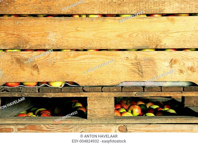 Red and yellow apples in crate