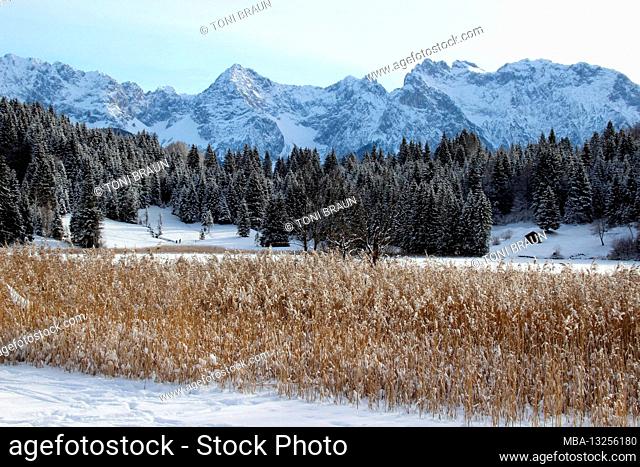 Winter hike near Gerold, near Klais, Europe, Germany, Bavaria, Upper Bavaria, Werdenfels, winter, reeds, lake, Karwendel Mountains