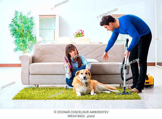 Husband cleaning house from dog fur