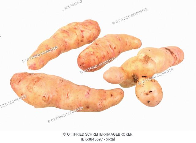 Potatoes, Pink Fire Apple variety