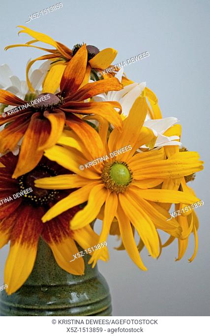 A combination of Shasta Daisies and annual Rudbeckia Hirta in a vase
