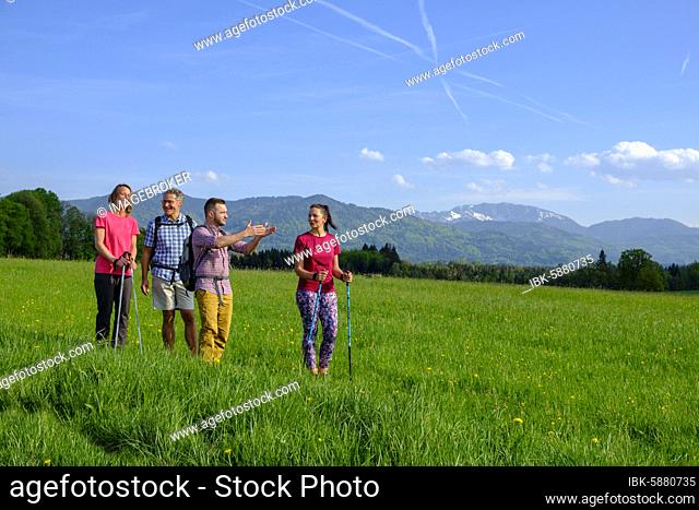 Group hiking, hike, Nantesbuch, in front of Benediktenwand, Bad Heilbrunn, Loisachtal, Upper Bavaria, Bavaria, Germany, Europe