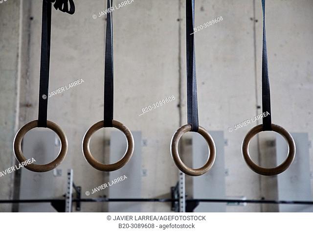 rings, Fitness center, Gym, Donostia, San Sebastian, Gipuzkoa, Basque Country, Spain, Europe