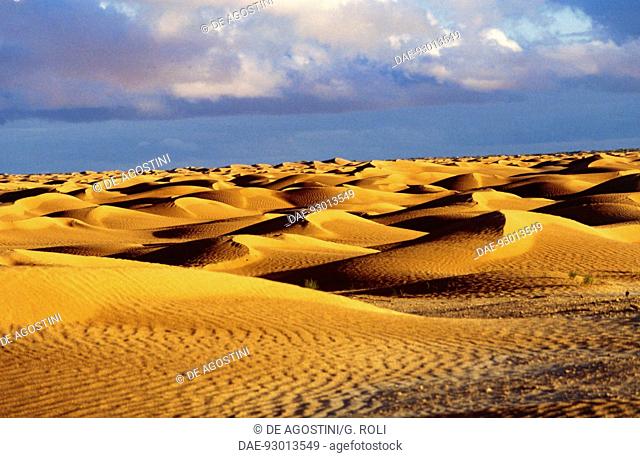 Sand dunes near Douz, Grand Erg Oriental, Sahara Desert, Tunisia