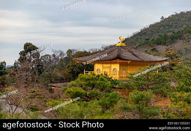 A picture of the Kinkaku-ji Temple peeking through the vegetation