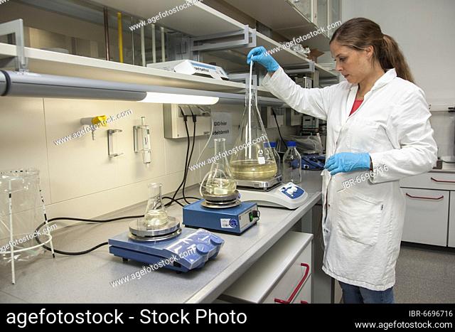 Scientist of biology at stirring devices in the genetic engineering section of the laboratories of the University of Duisburg-Essen