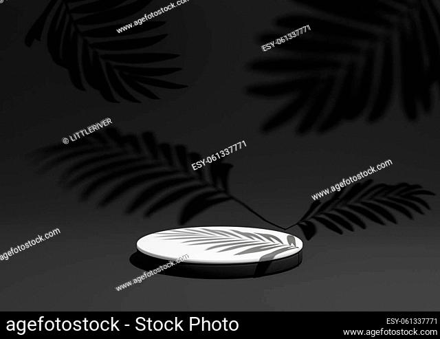 Black, dark gray, black and white, 3D render of a simple, minimal product display composition backdrop with ont podium or stand and leaf shadows in the...