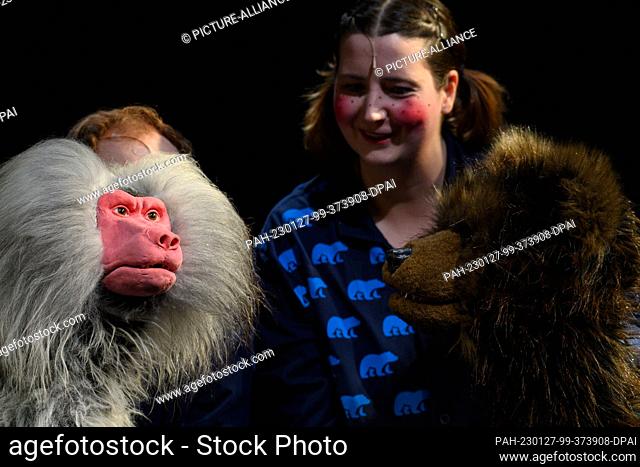 26 January 2023, Saxony-Anhalt, Magdeburg: Lennart Morgenstern (l) with the puppet baboon and Linda Mattern with the puppet ""bear"" rehearse a scene of the...