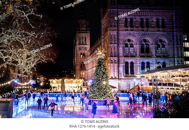 Christmas tree and ice skating rink at night outside the Natural History Museum, Kensington, London, England, United Kingdom, Europe