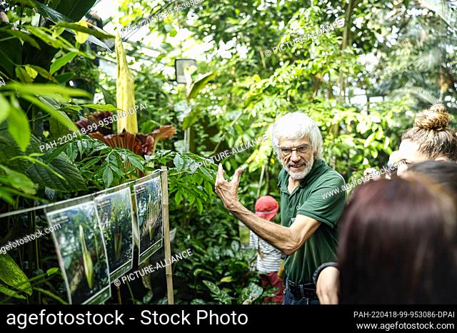 18 April 2022, Bayreuth: Georg Aas, director of the Ecological-Botanical Garden Bayreuth, explains the titanwort to visitors