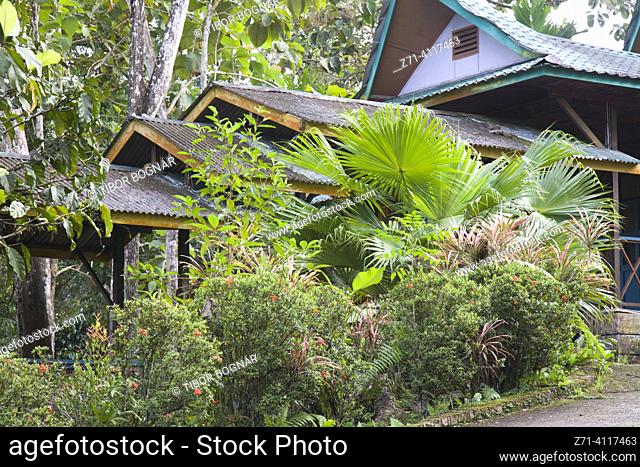 Malaysia, Sabah, Sepilok, Jungle Resort,