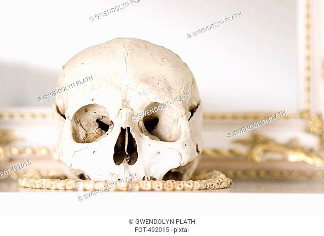 A human skull on a mantelpiece