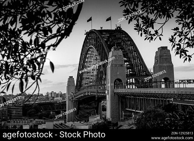 Our engineering icon, admired and photographed by so many... the Sydney Harbour Bridge contains around 52, 800 tonnes of steel and its granite pylons were...