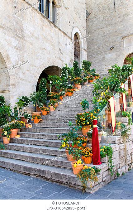 Terracotta vases of flowers and lemon trees, baskets of tomatoes arranged on the stone starcase of Palazzo del Popolo, Todi, Umbria, Italy