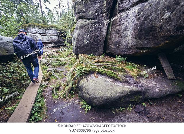 Tourist in Rock labirynth called Bledne Skaly (Errant Rocks) in Stolowe Mountains (Table Mountains) range, part of the Sudetes in Poland
