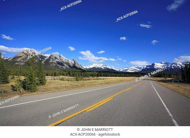 David Thompson Highway Highway 11 between Saskatchewan Crossing and Red Deer on the Kootenay Plains, Alberta, Canada